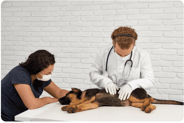 Diagnostics for Pet Allergies