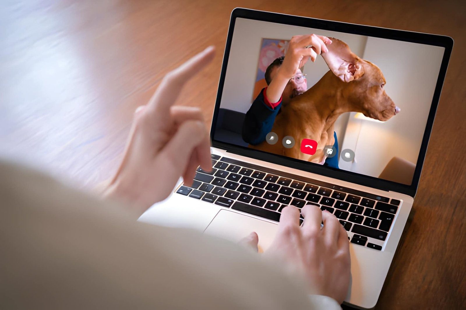 Mobile Vet Services