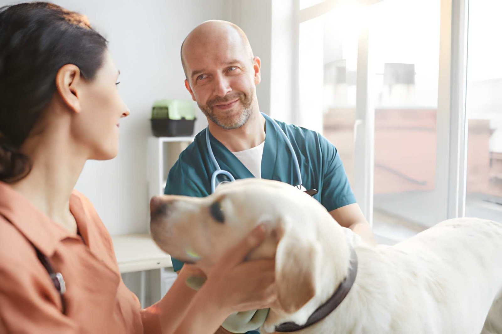 Caring for Large Breed Dogs