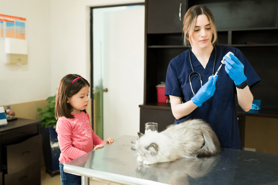 Kitten First Year Health West Chester