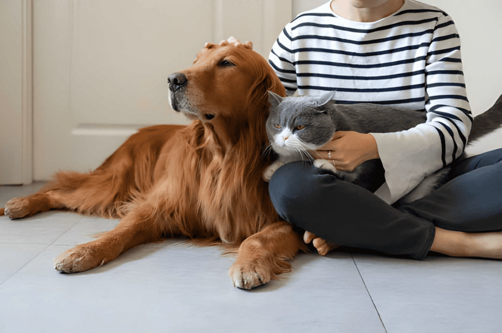 pet vaccinations